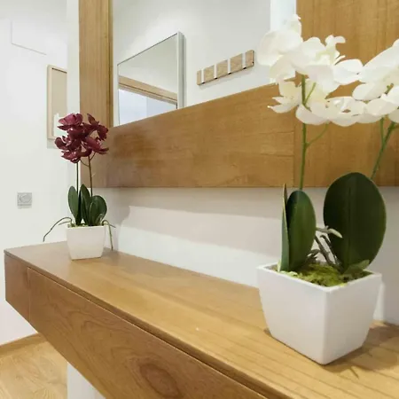 The Collection | Boga