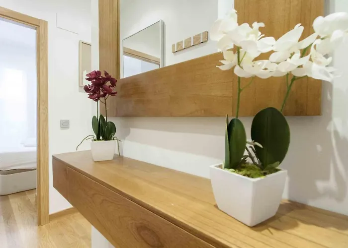 The Collection | Boga